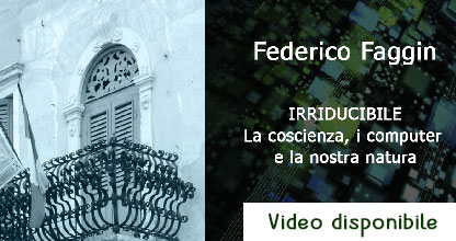 Federico Faggin - Irriducibile